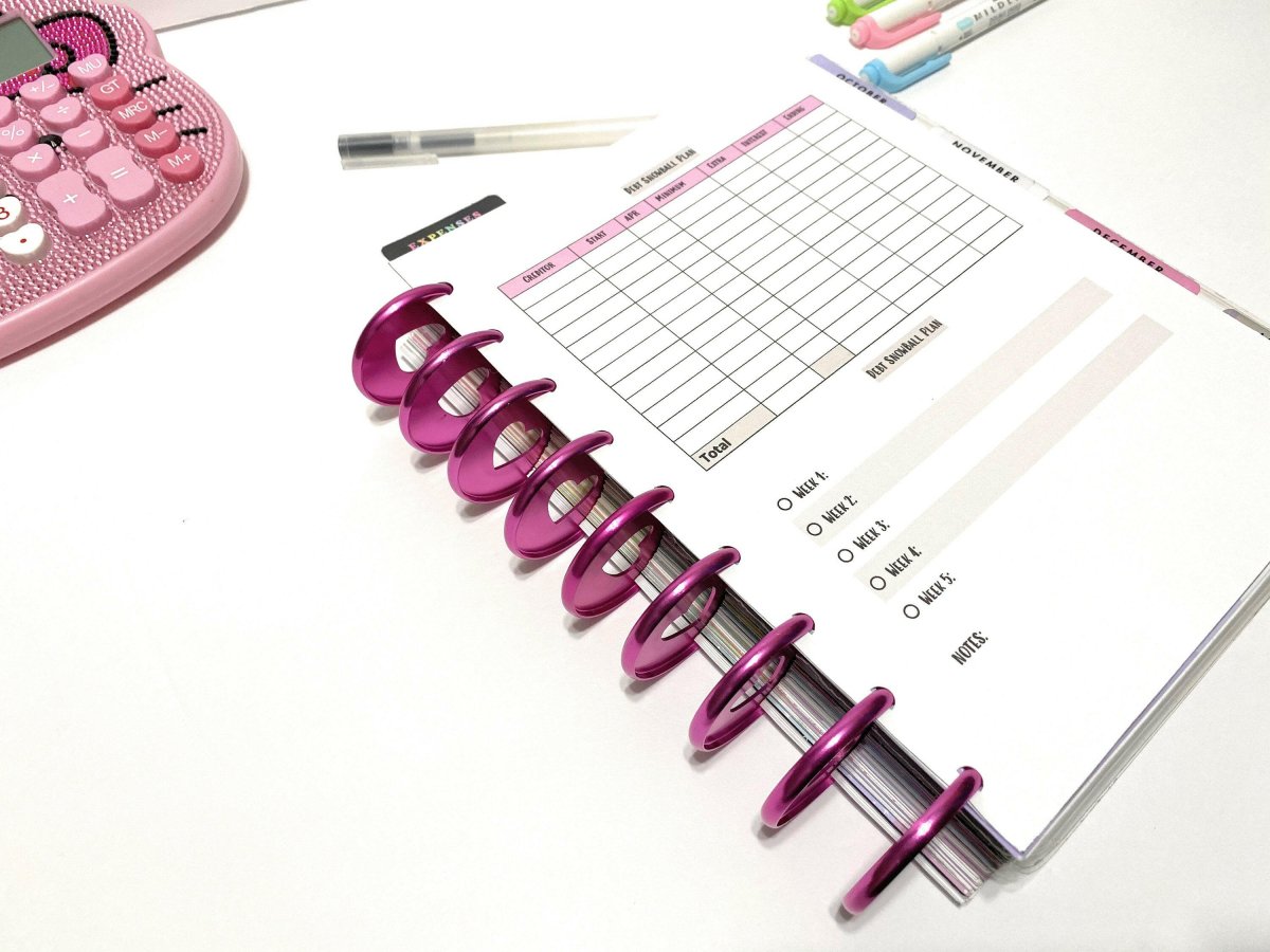 Debt Snowball Plan Budget Worksheet | Debt tracker PDF | Budget Insert | 8.5 x 11 | Happy Planner | INSTANT DOWNLOAD | Credit Card Tracker - PinkeCloth
