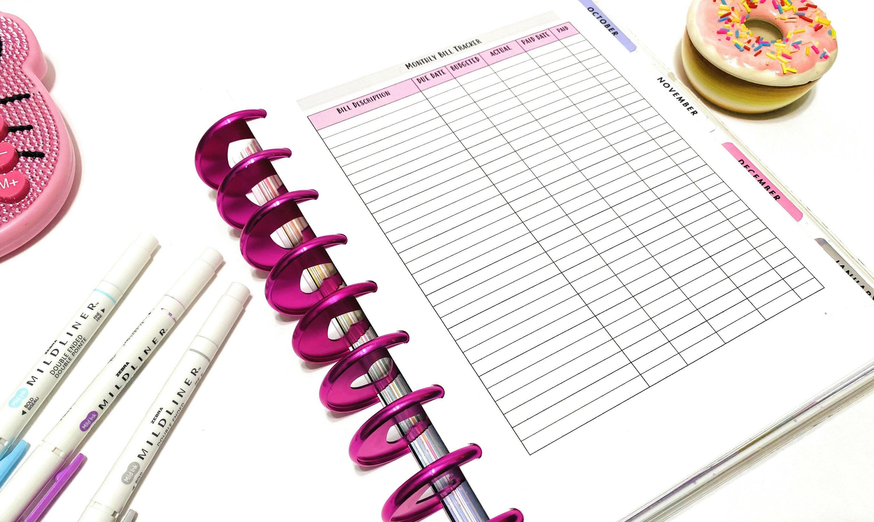 Monthly Bill Tracker Worksheet | Payment Tracker Pdf Budget Insert 8.5 X 11 Happy Planner Instant